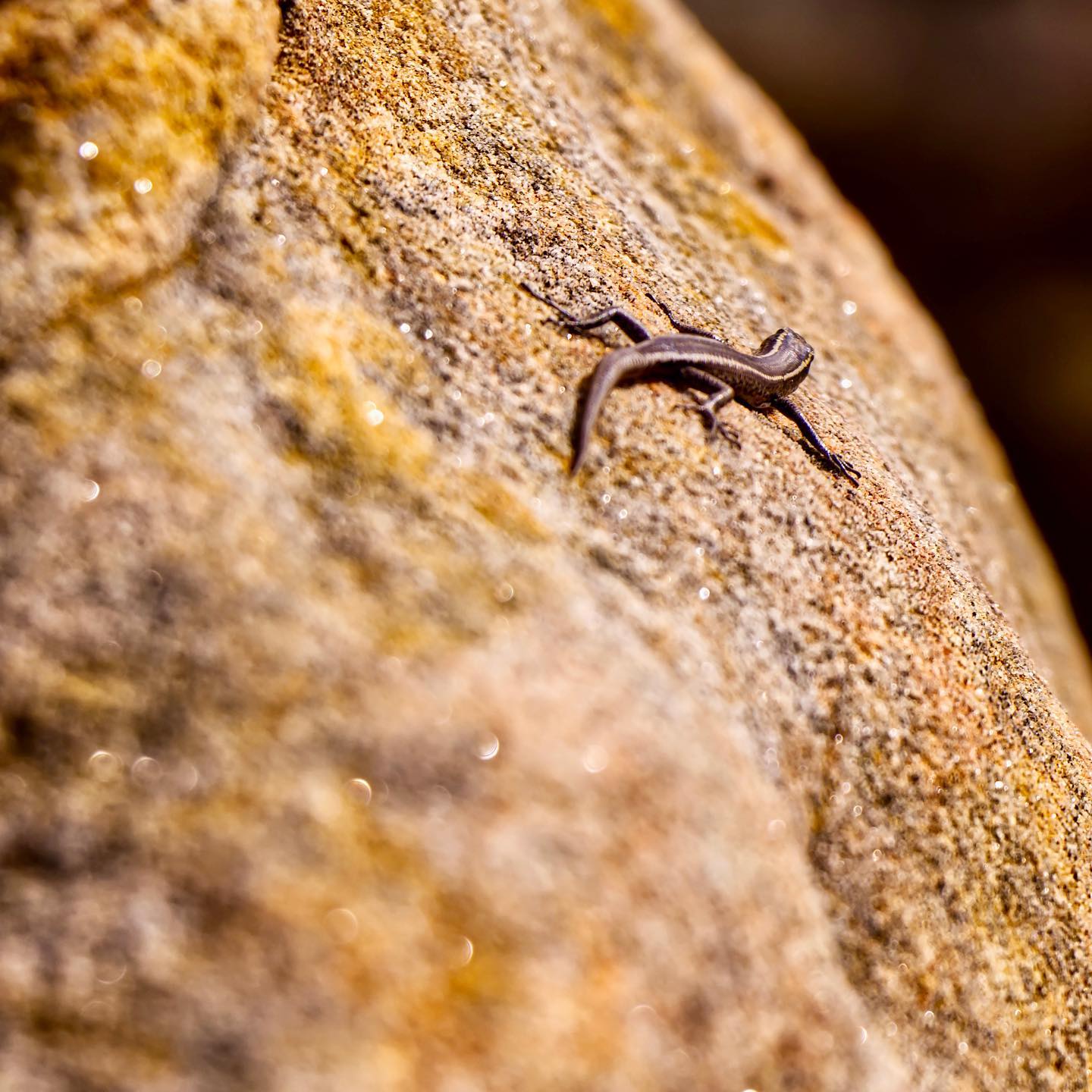 Photo 206 from Igor Maric's photography collection