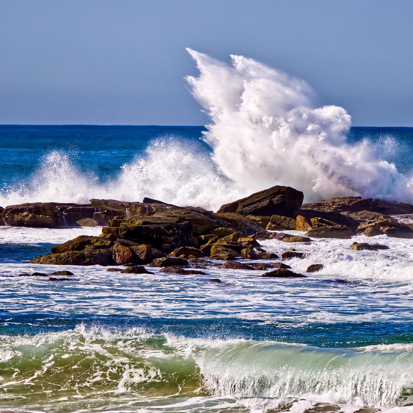 Photo 205 from Igor Maric's photography collection