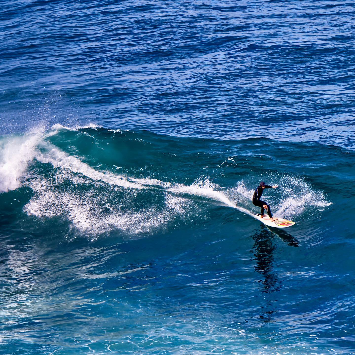 Photo 204 from Igor Maric's photography collection