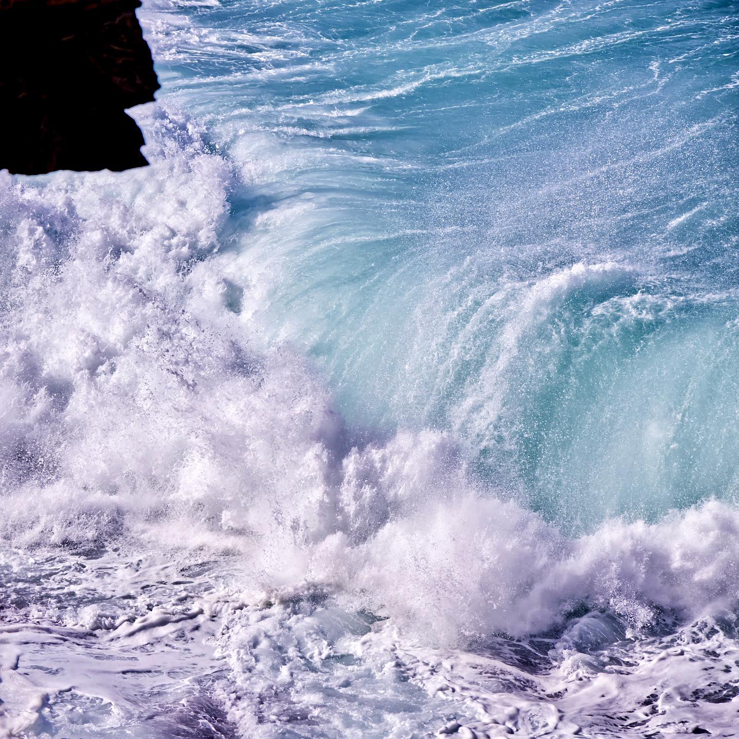 Photo 203 from Igor Maric's photography collection