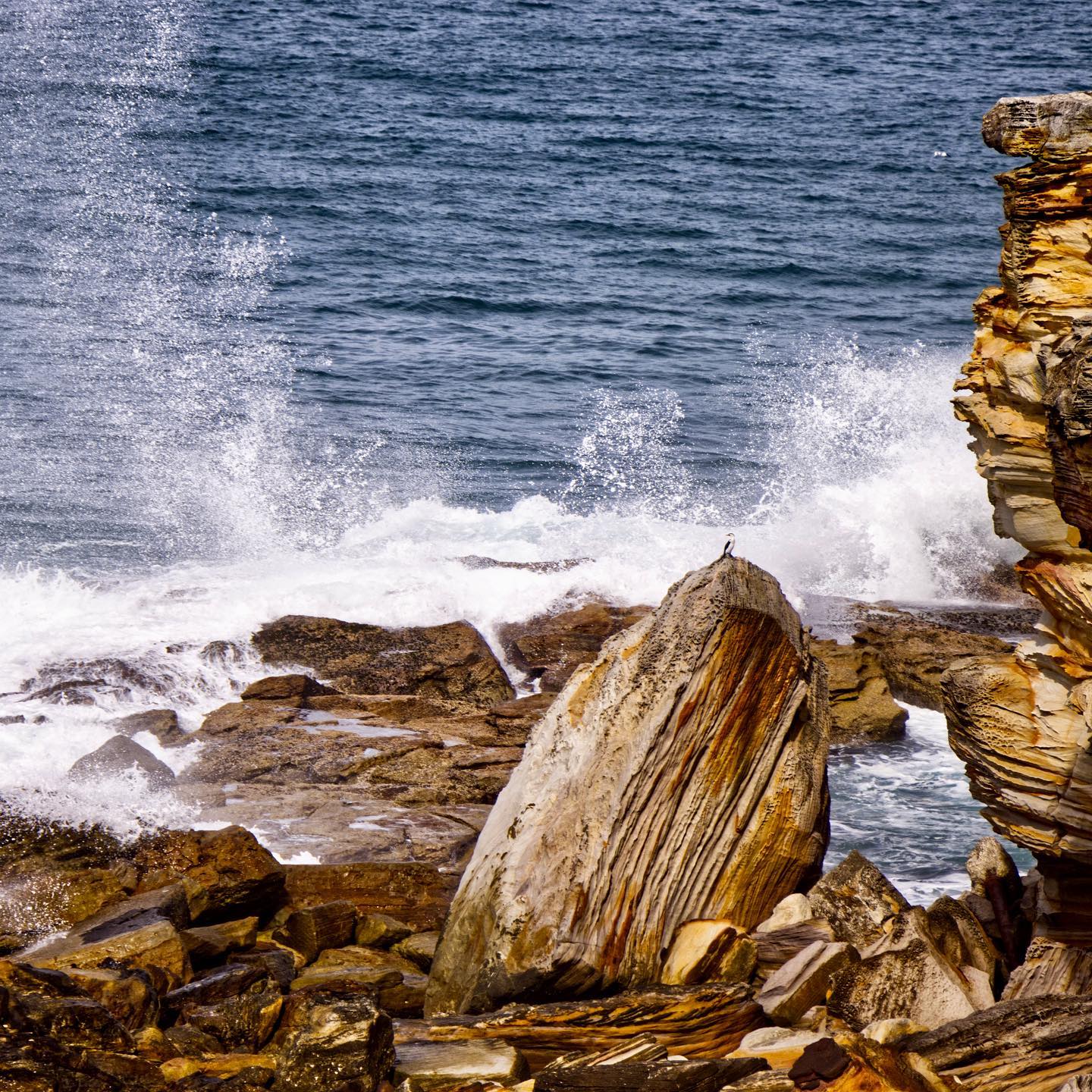 Photo 202 from Igor Maric's photography collection