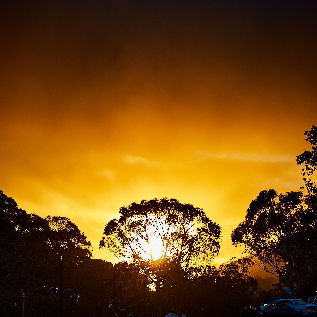 Photo 198 from Igor Maric's photography collection