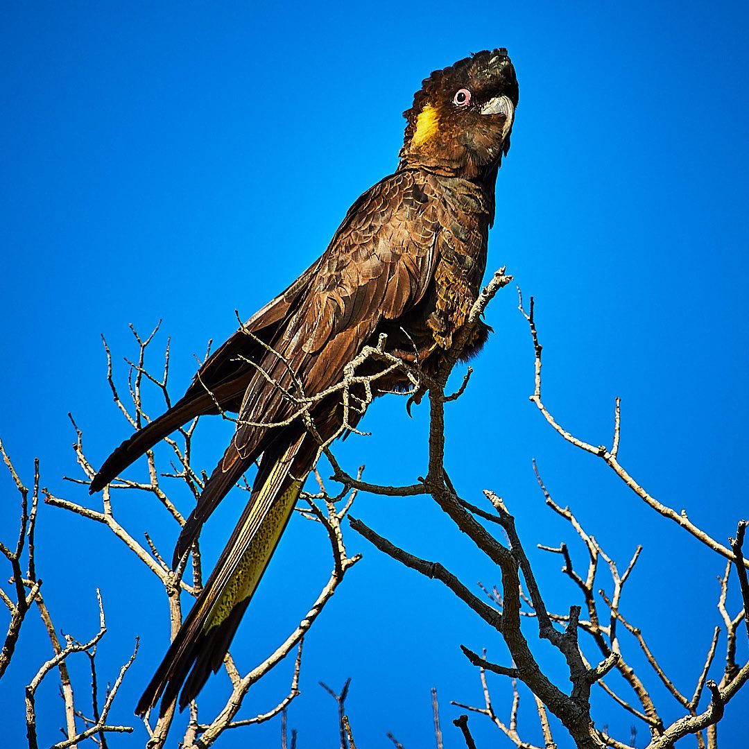 Photo 197 from Igor Maric's photography collection