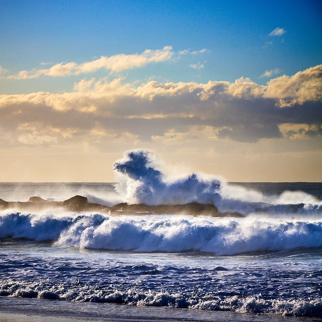 Photo 196 from Igor Maric's photography collection