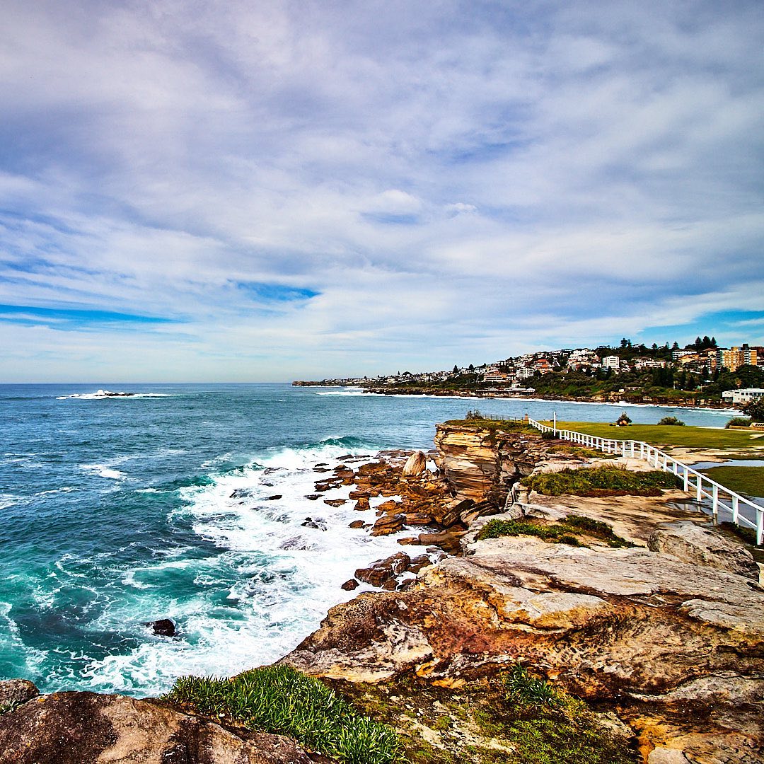 Photo 195 from Igor Maric's photography collection