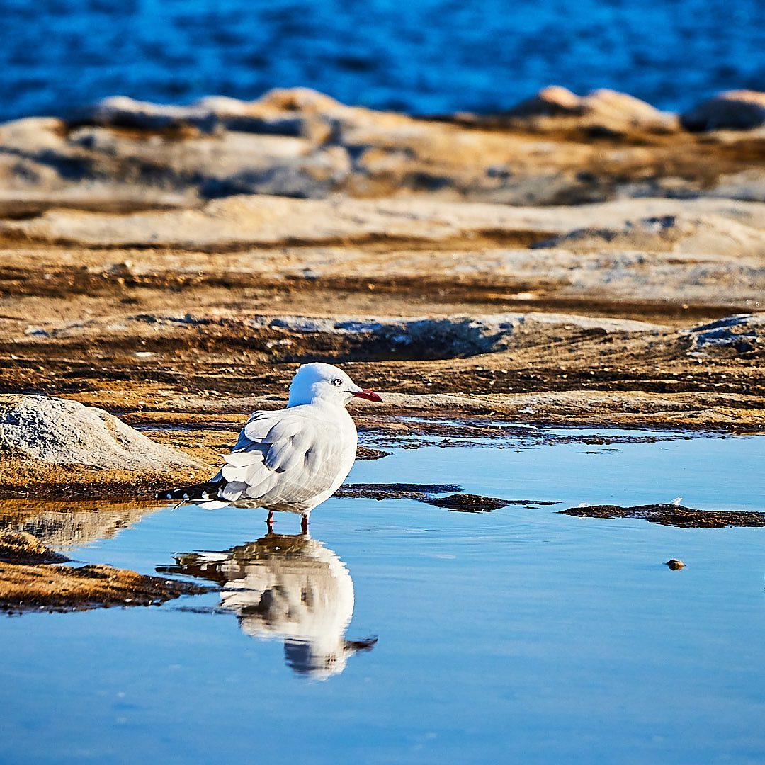 Photo 188 from Igor Maric's photography collection