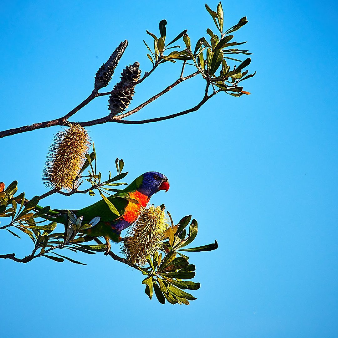 Photo 187 from Igor Maric's photography collection