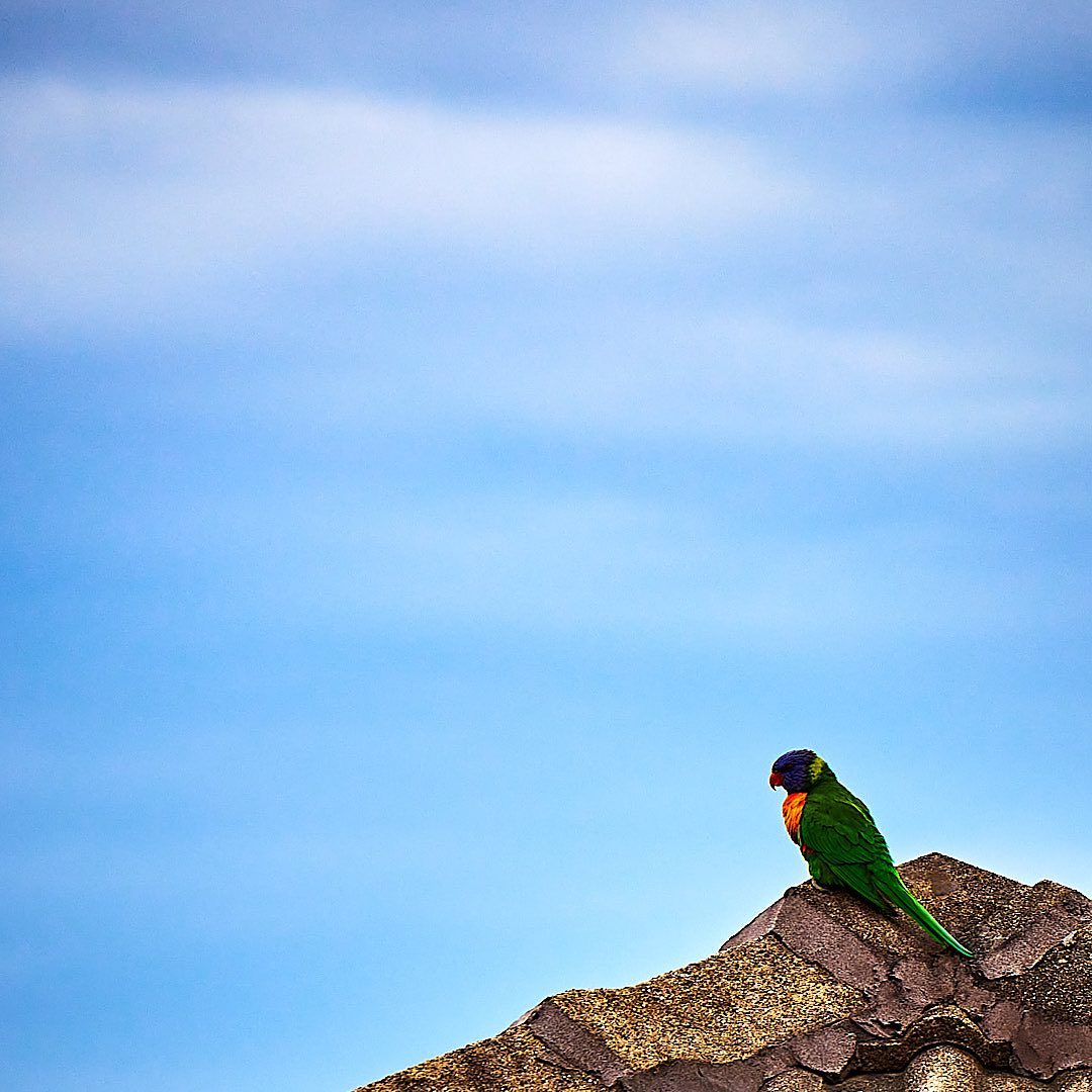 Photo 185 from Igor Maric's photography collection