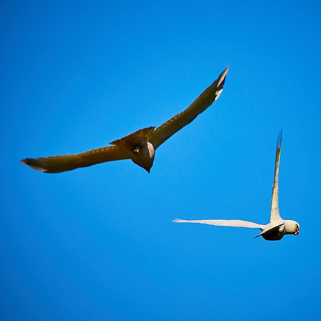 Photo 181 from Igor Maric's photography collection