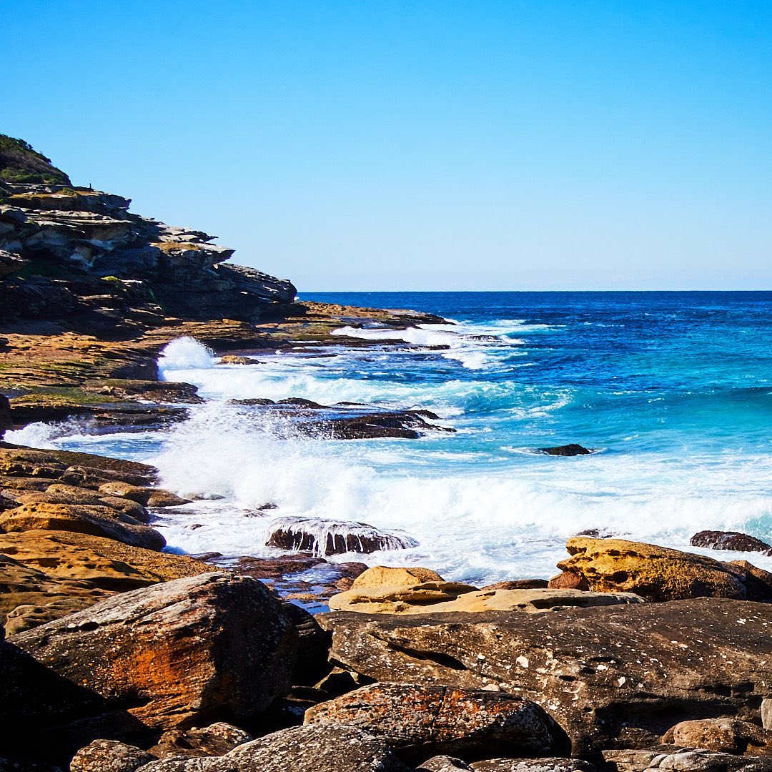 Photo 177 from Igor Maric's photography collection