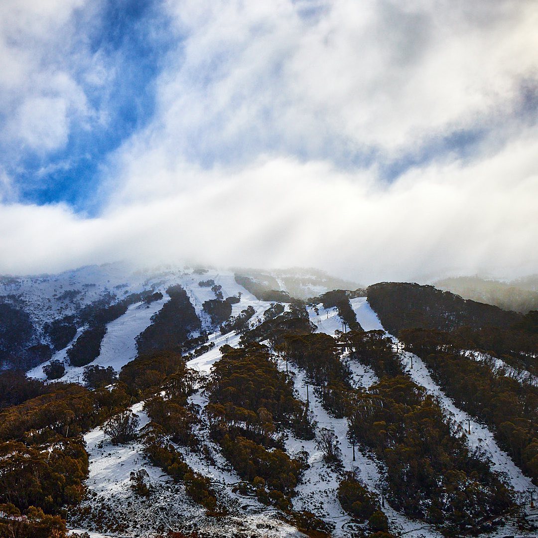 Photo 174 from Igor Maric's photography collection