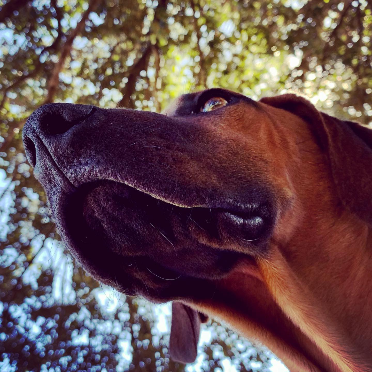 Photo 173 from Igor Maric's photography collection