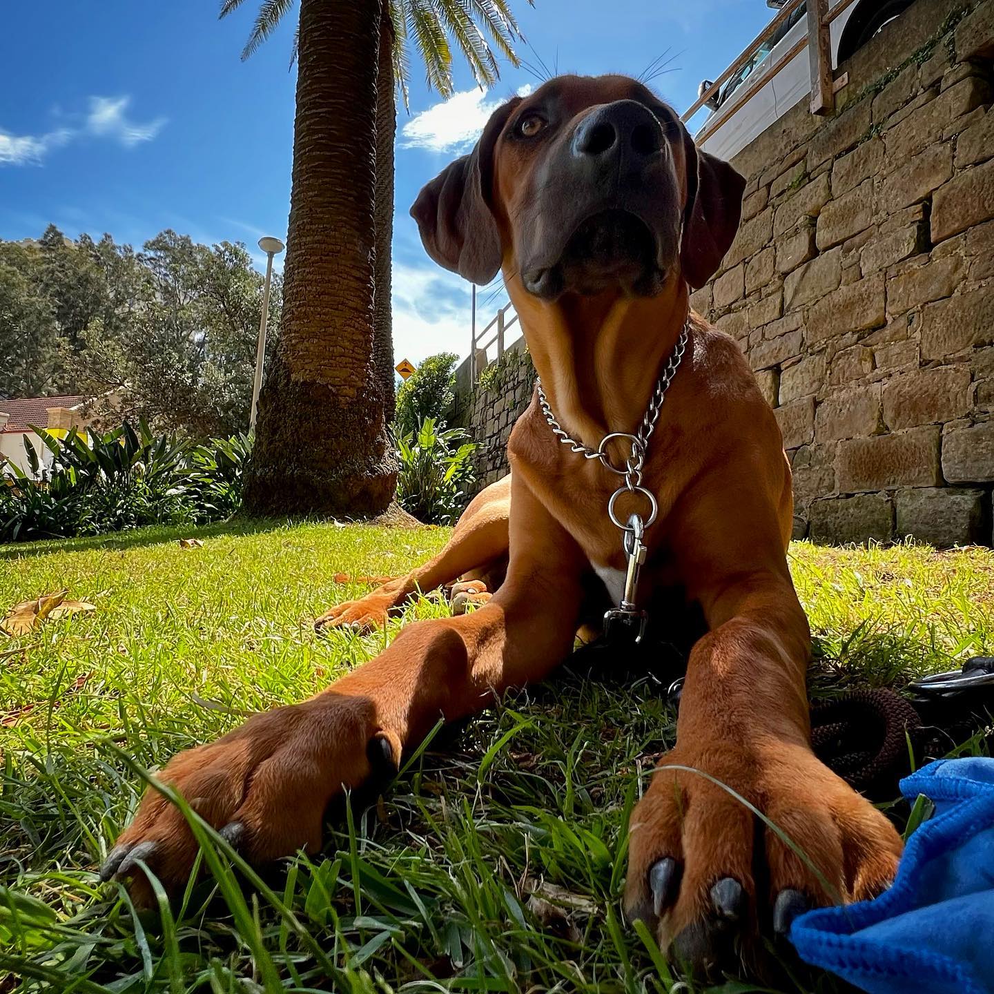 Photo 172 from Igor Maric's photography collection