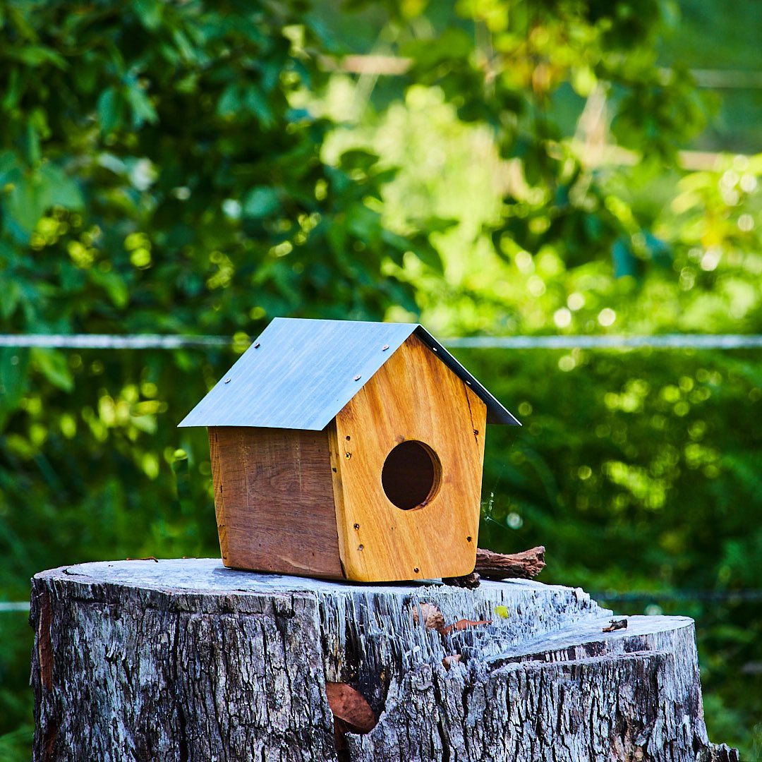 Photo 171 from Igor Maric's photography collection