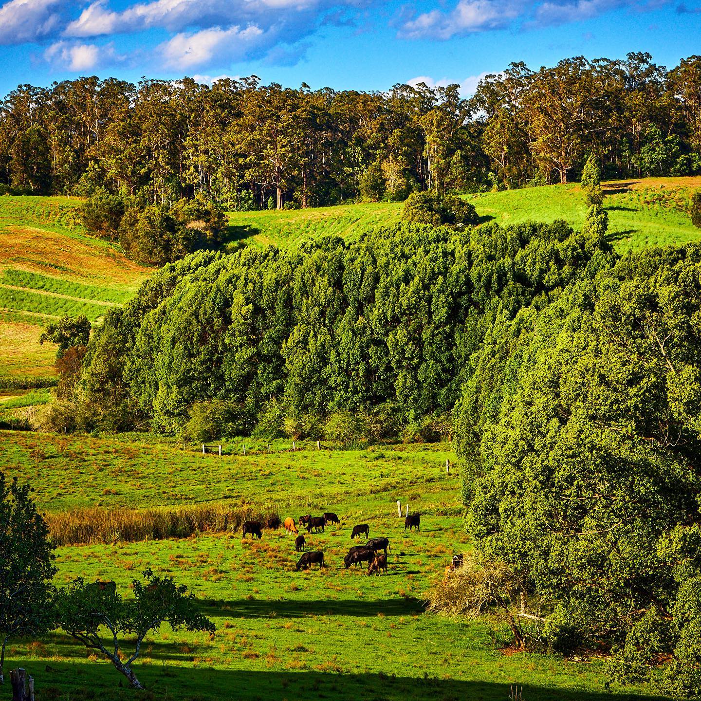 Photo 170 from Igor Maric's photography collection