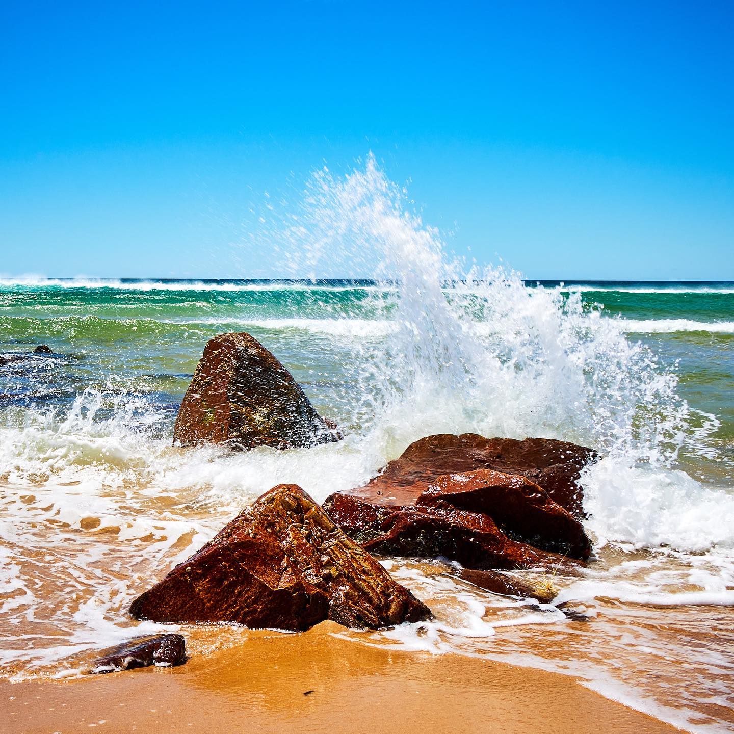 Photo 168 from Igor Maric's photography collection