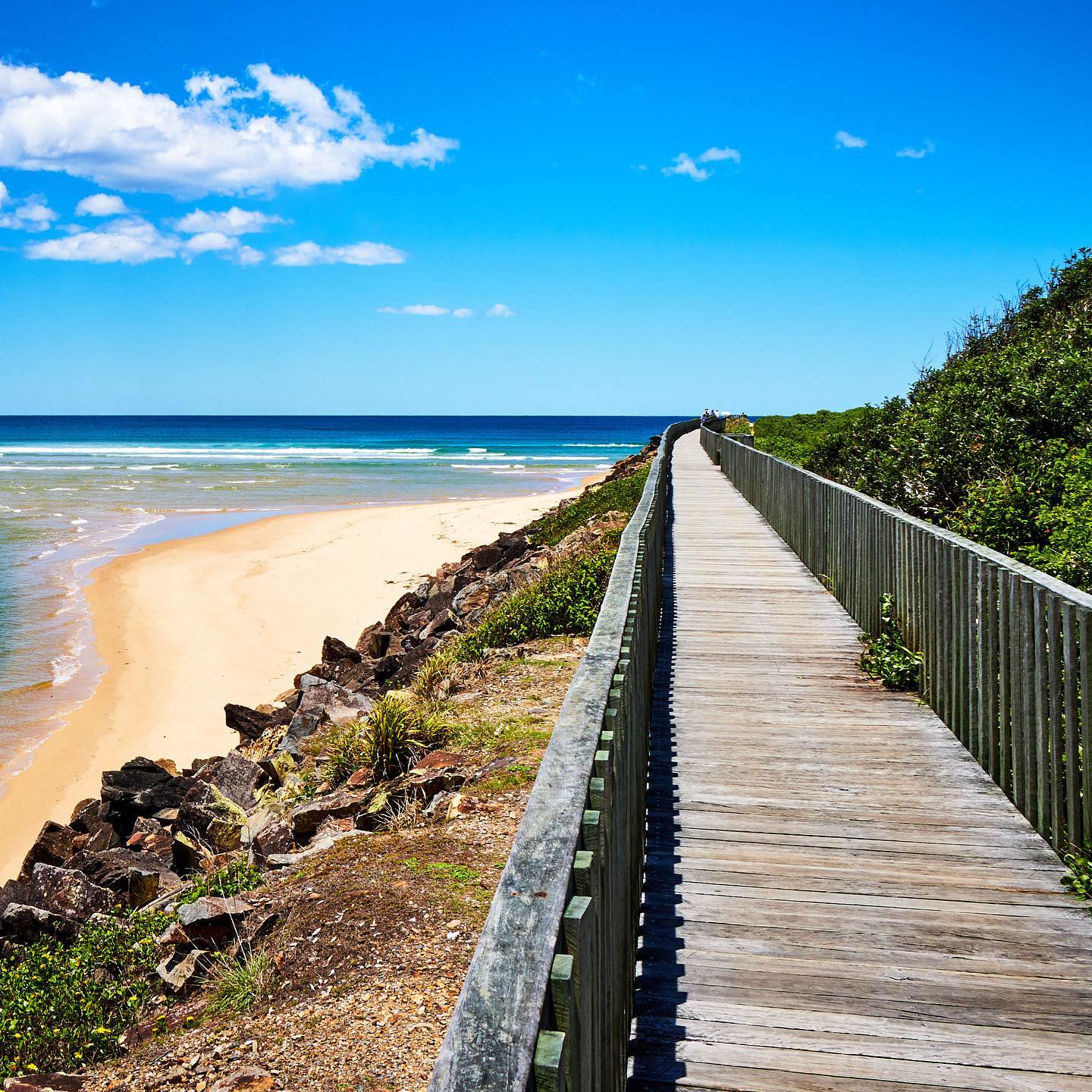 Photo 167 from Igor Maric's photography collection