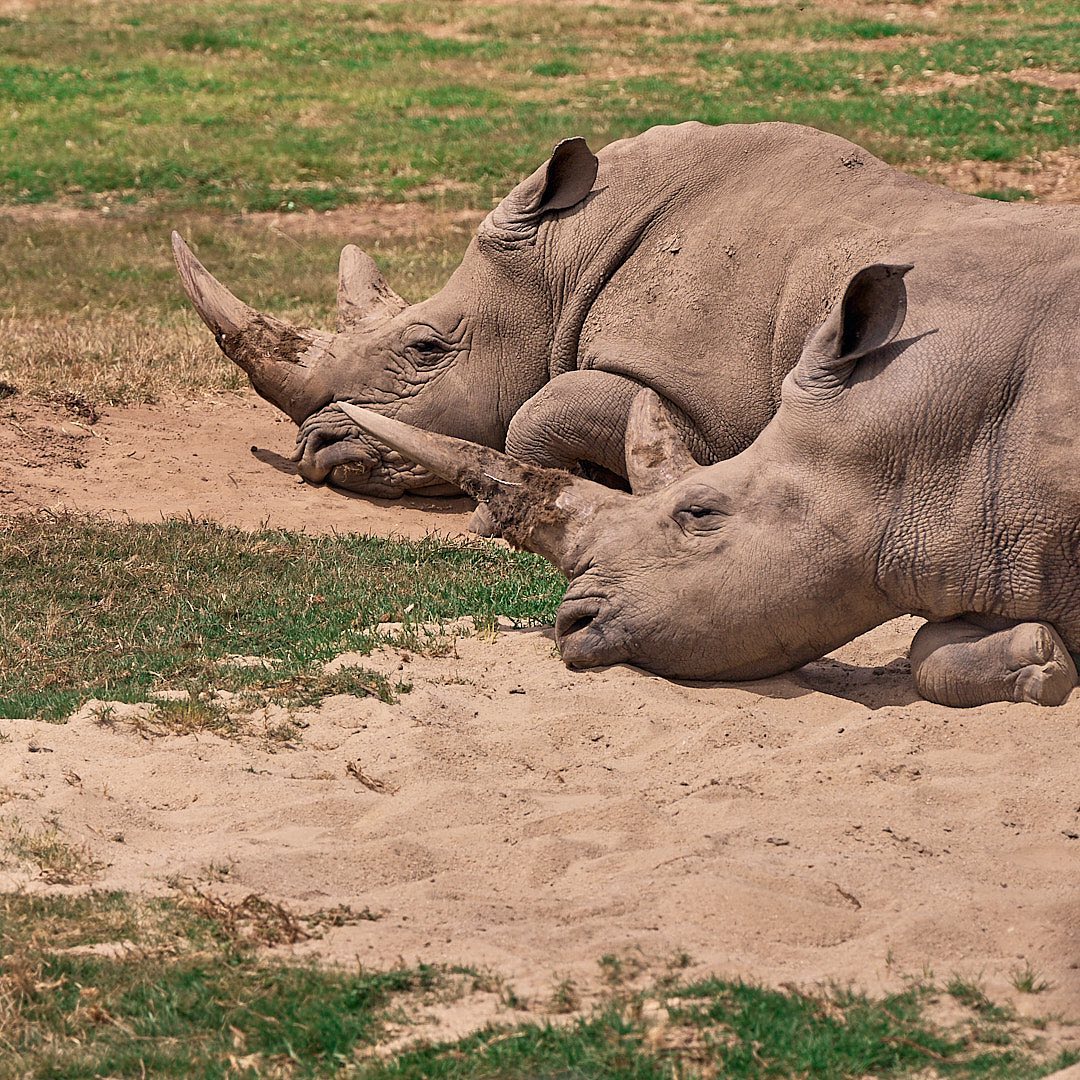 Photo 164 from Igor Maric's photography collection