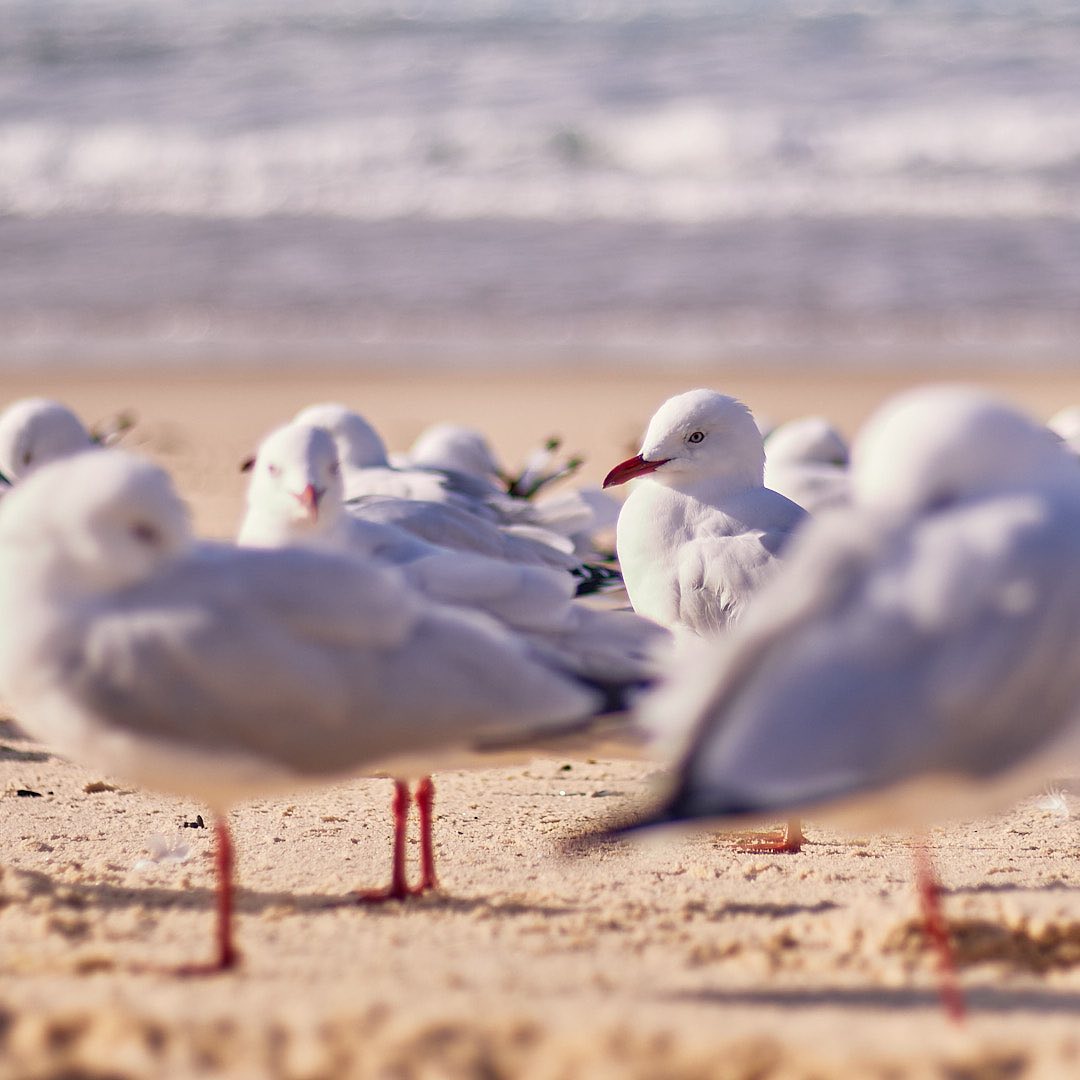 Photo 160 from Igor Maric's photography collection