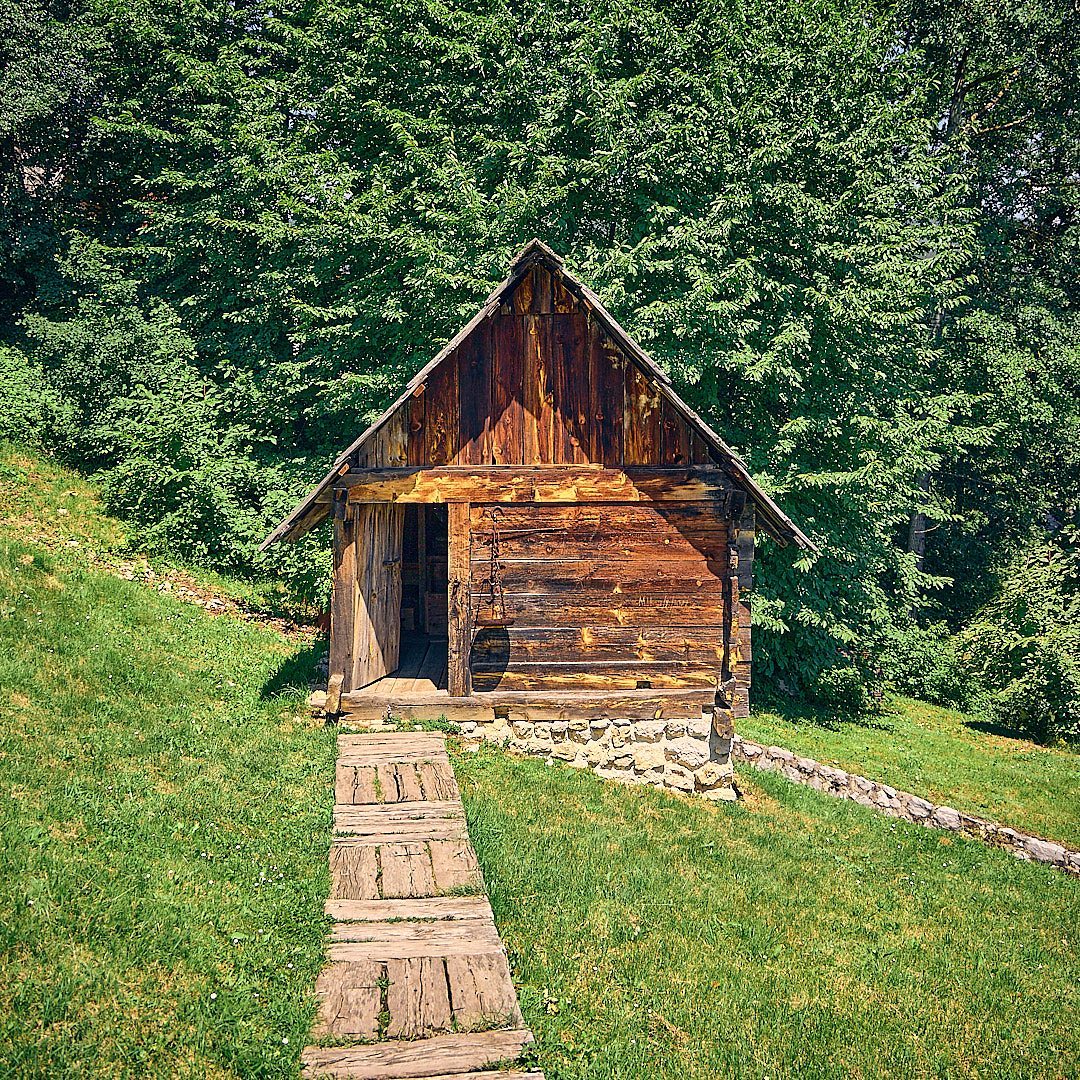 Photo 154 from Igor Maric's photography collection