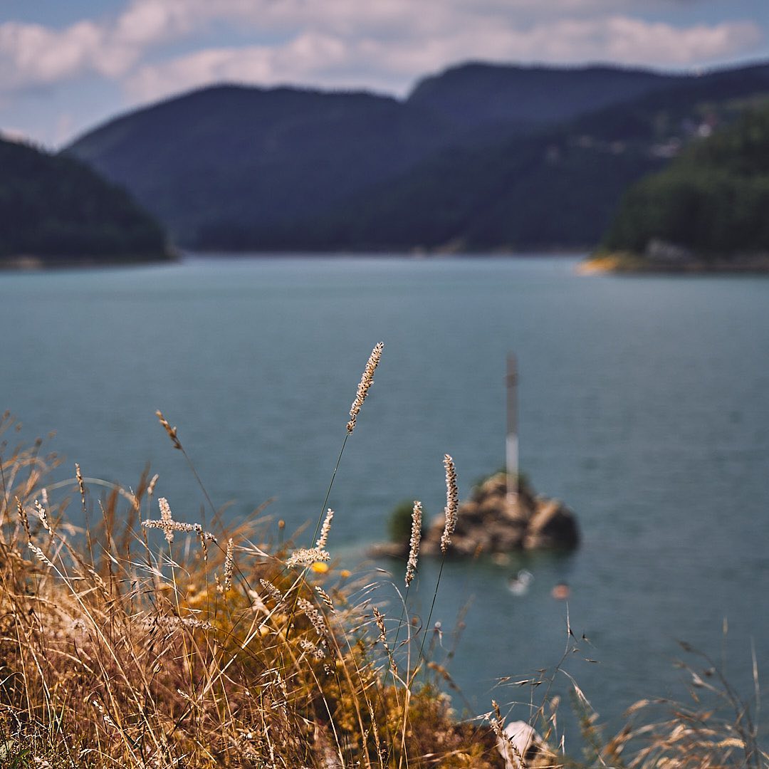 Photo 153 from Igor Maric's photography collection