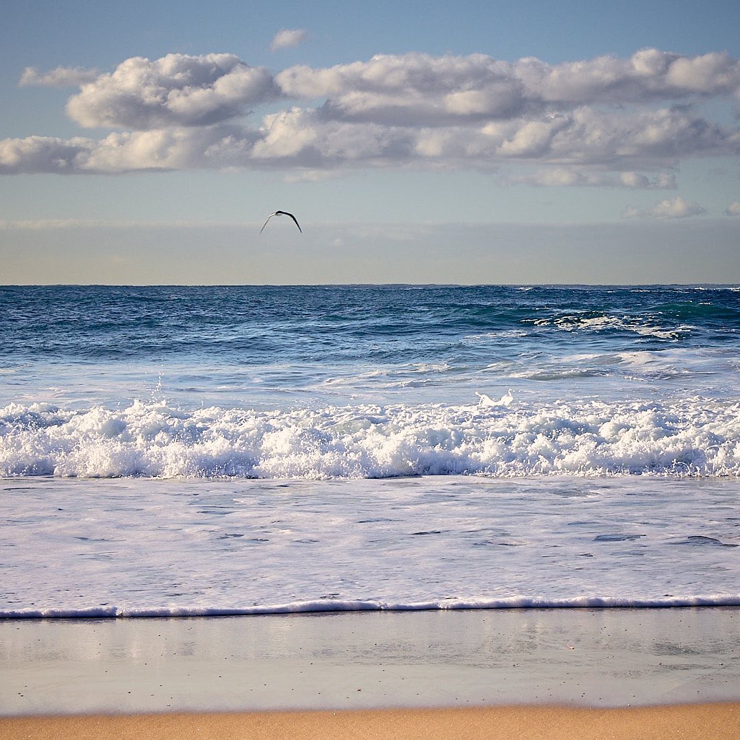 Photo 151 from Igor Maric's photography collection