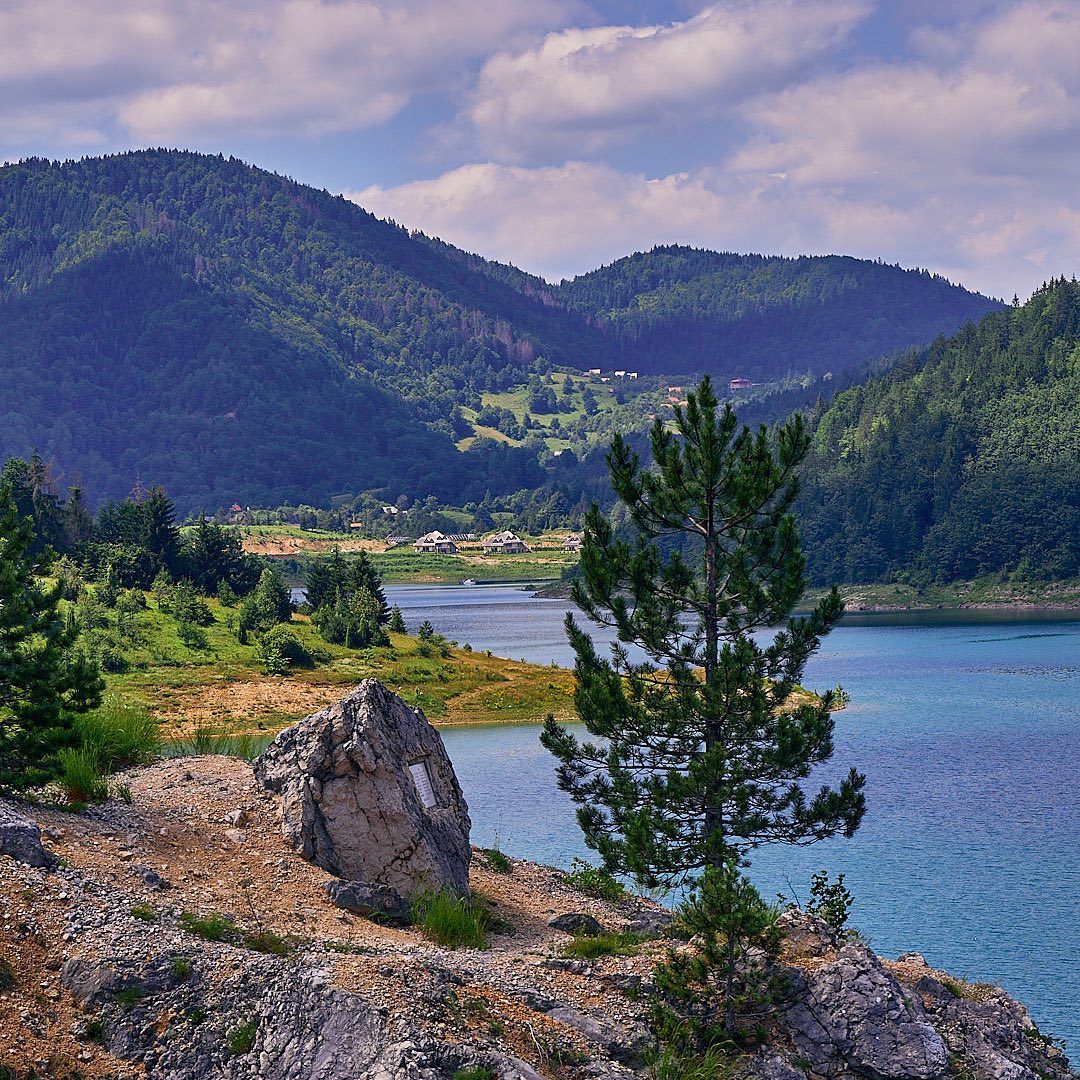 Photo 149 from Igor Maric's photography collection