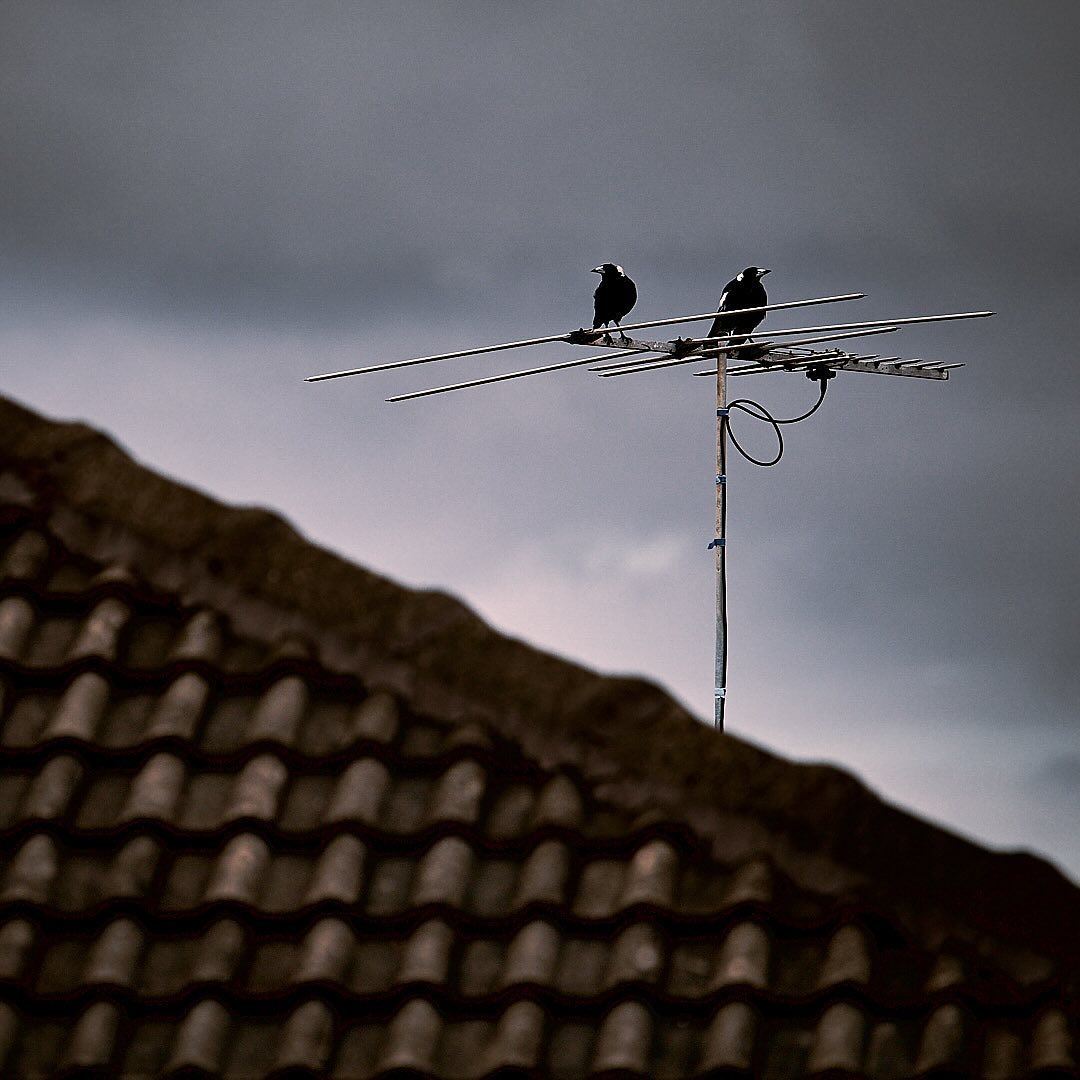 Photo 142 from Igor Maric's photography collection