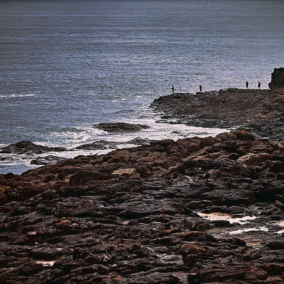 Photo 134 from Igor Maric's photography collection