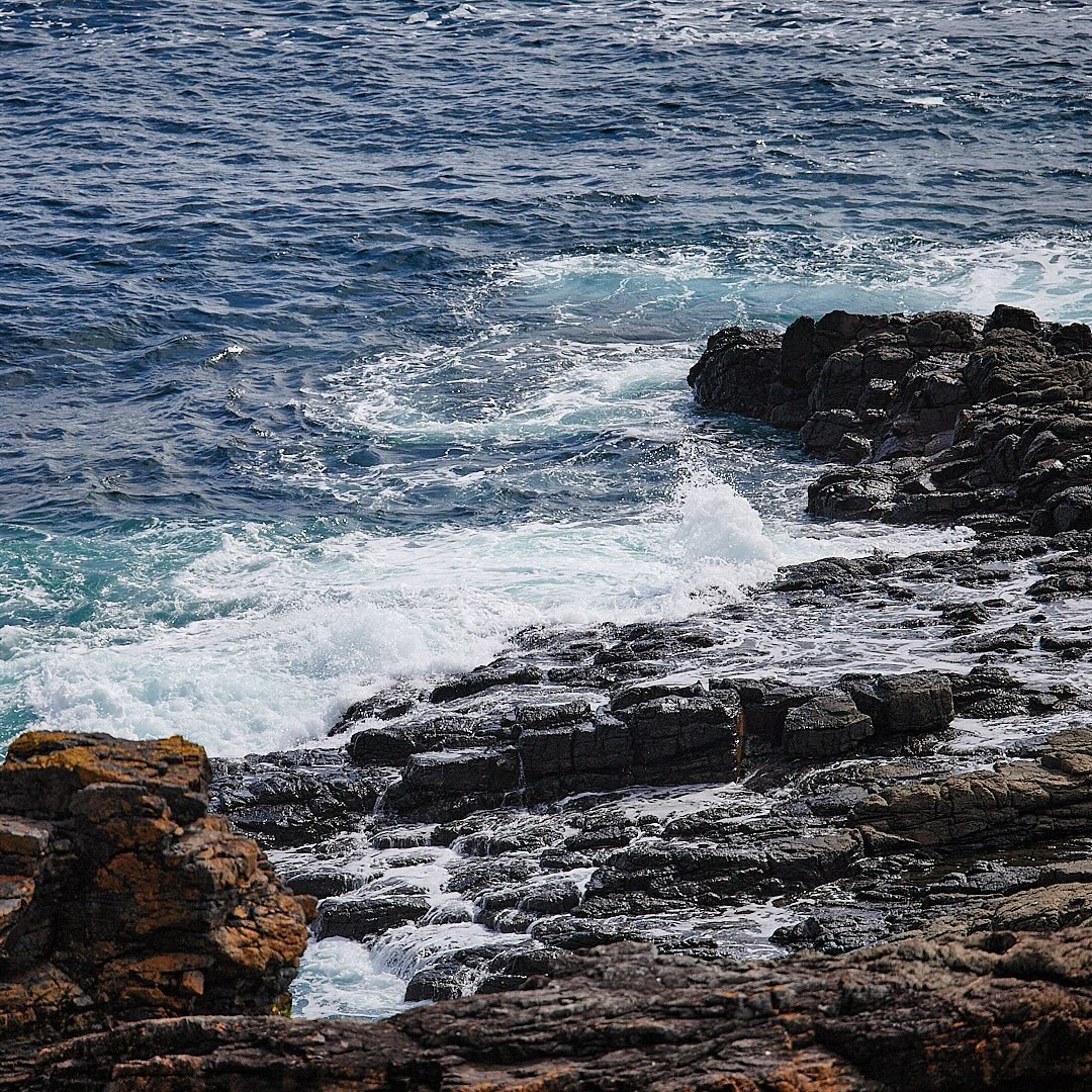 Photo 115 from Igor Maric's photography collection