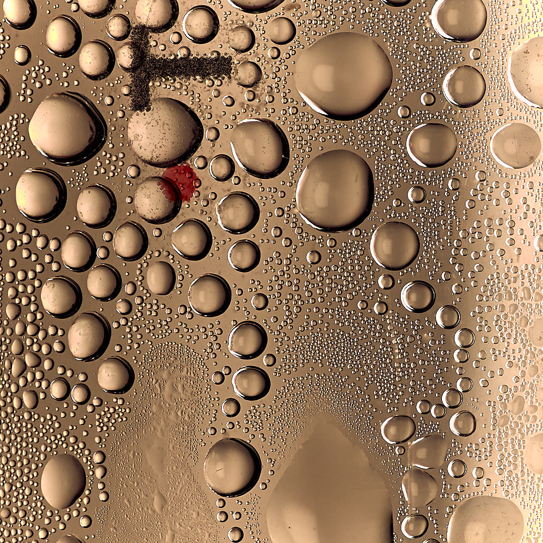 Photo 108 from Igor Maric's photography collection