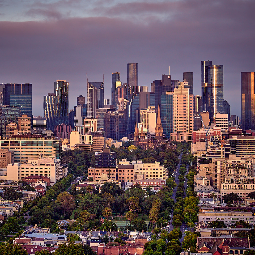 Photo 105 from Igor Maric's photography collection