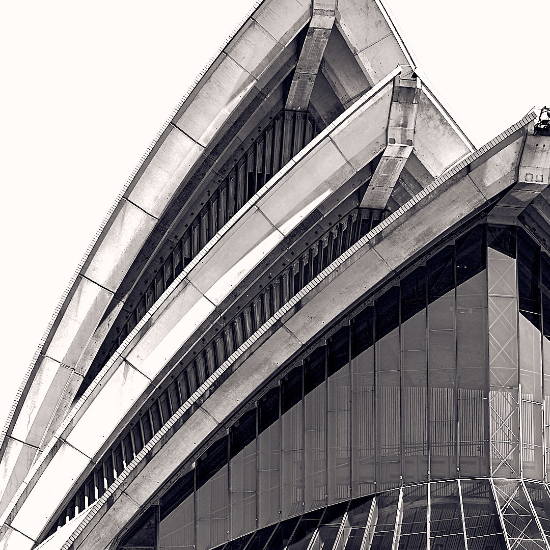 Photo 104 from Igor Maric's photography collection