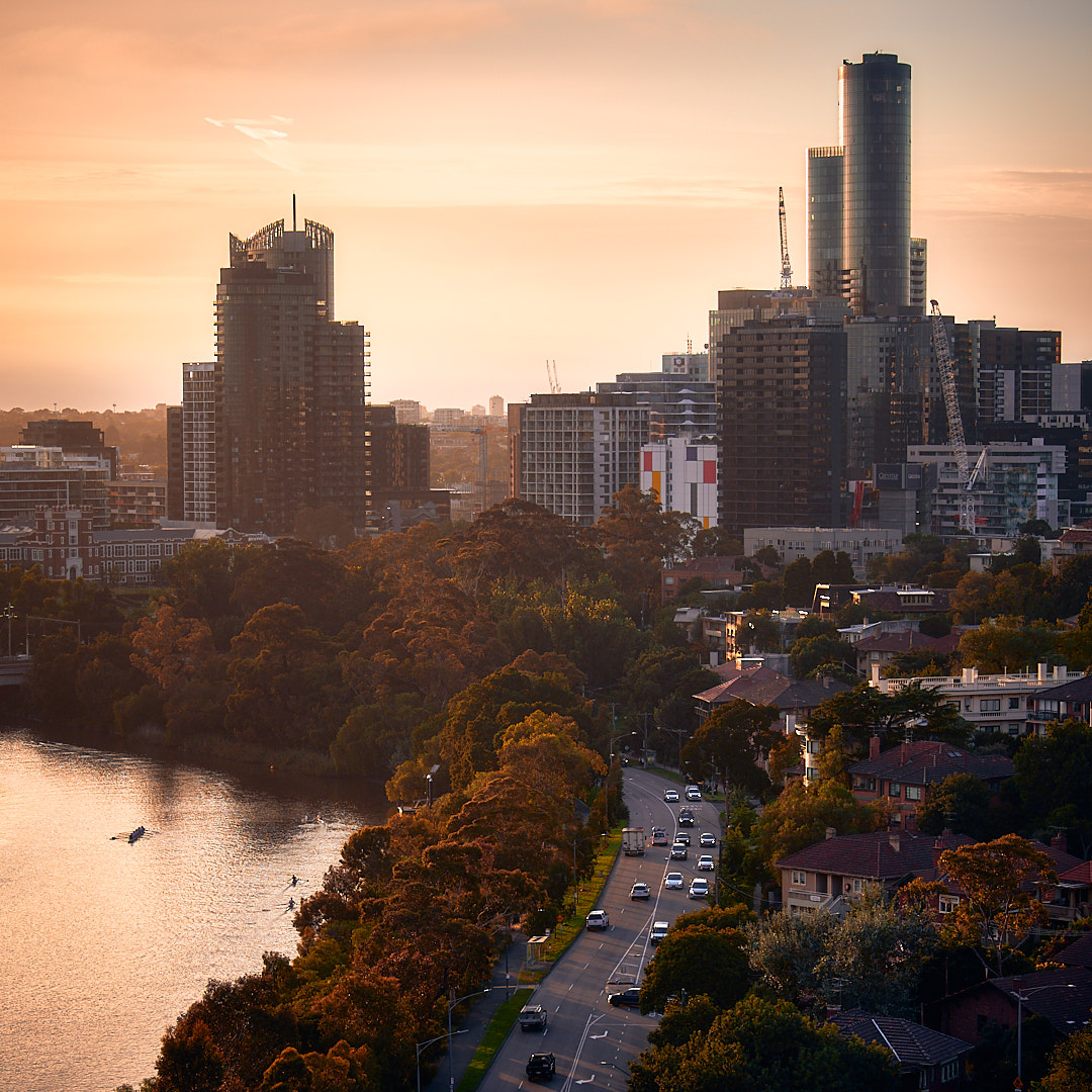 Photo 102 from Igor Maric's photography collection