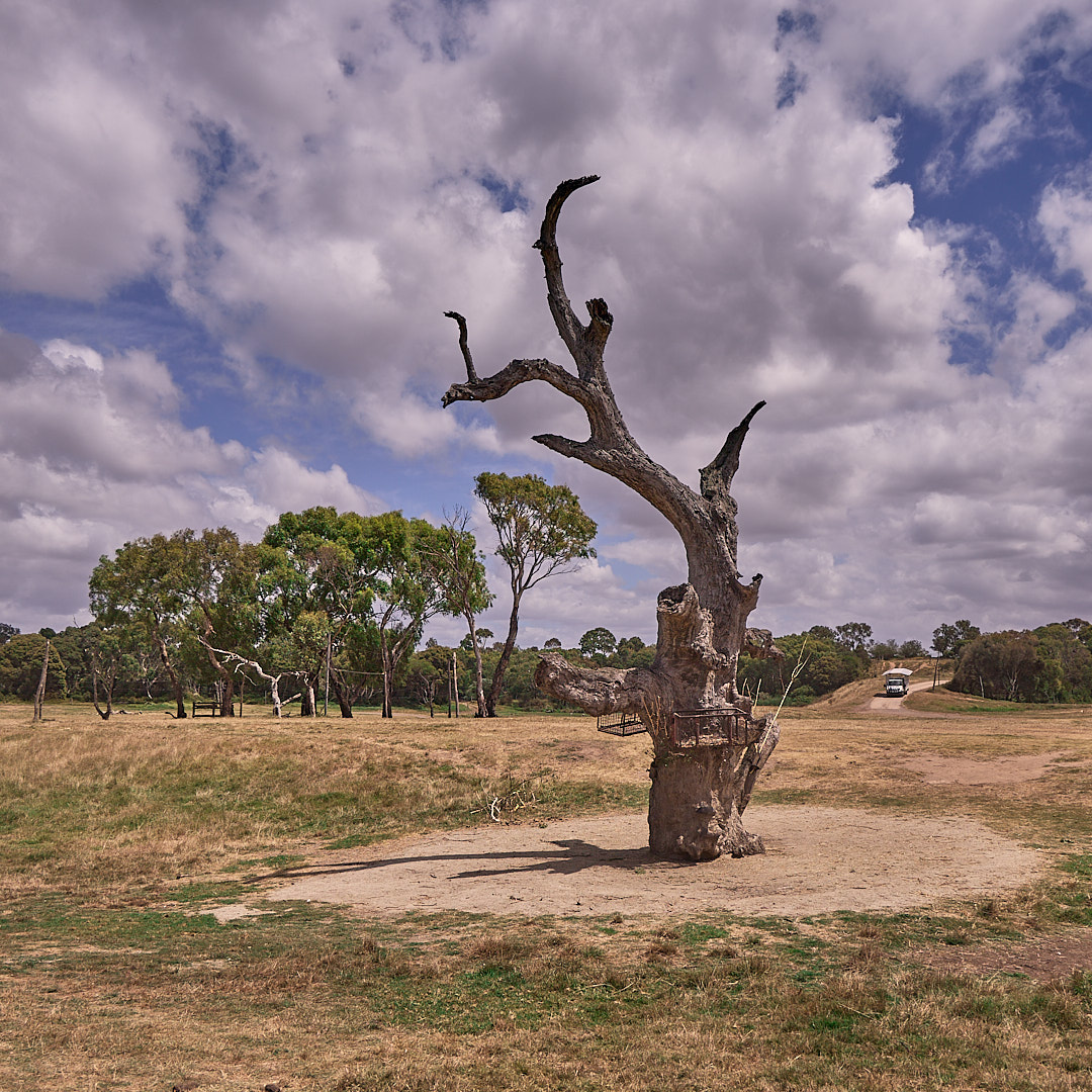 Photo 101 from Igor Maric's photography collection