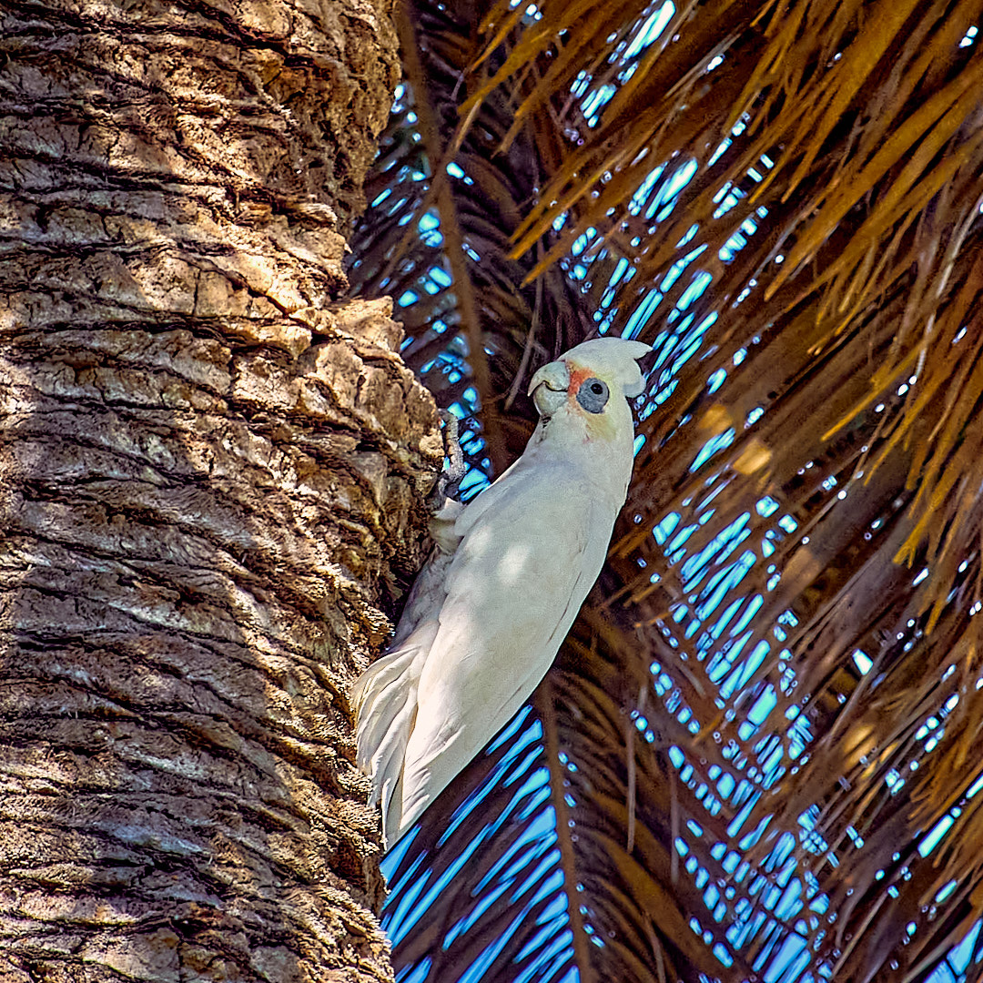 Photo 97 from Igor Maric's photography collection