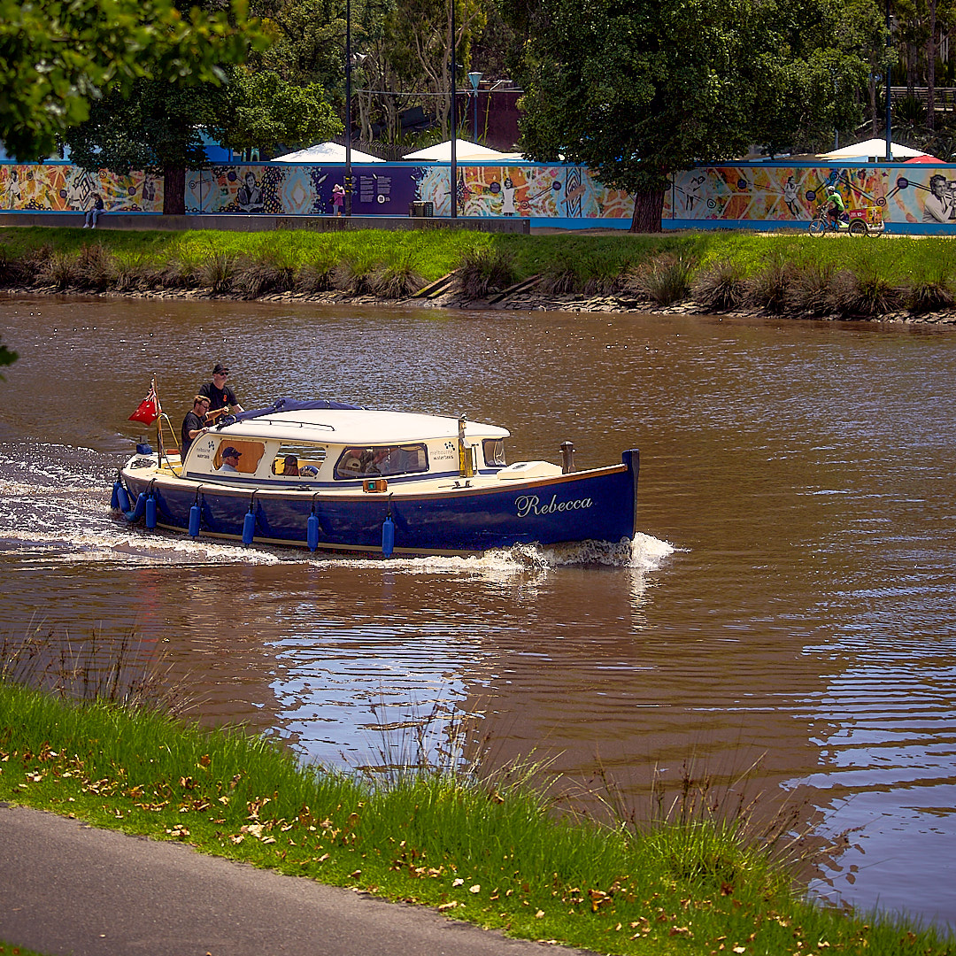 Photo 96 from Igor Maric's photography collection