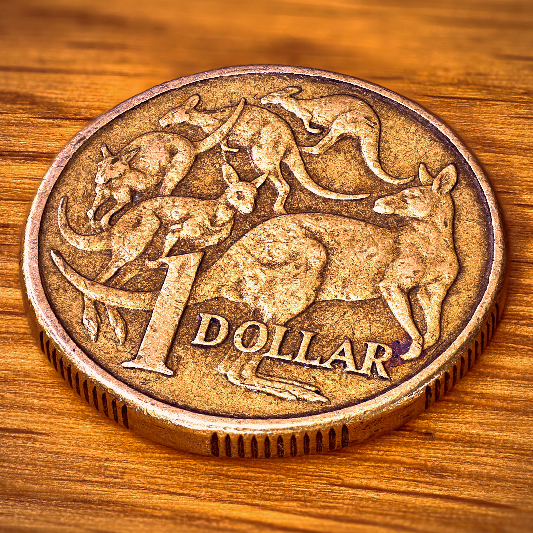 Photo 95 from Igor Maric's photography collection