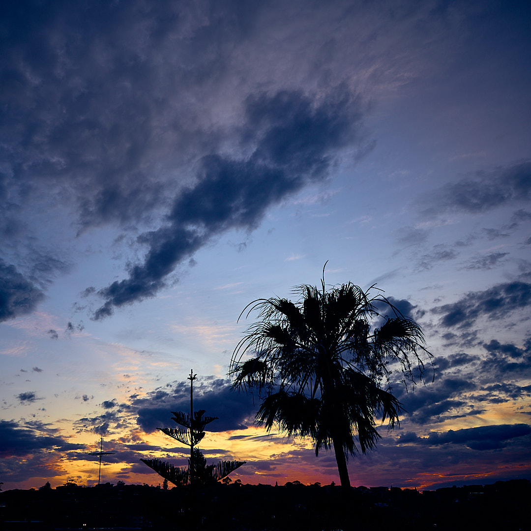 Photo 90 from Igor Maric's photography collection