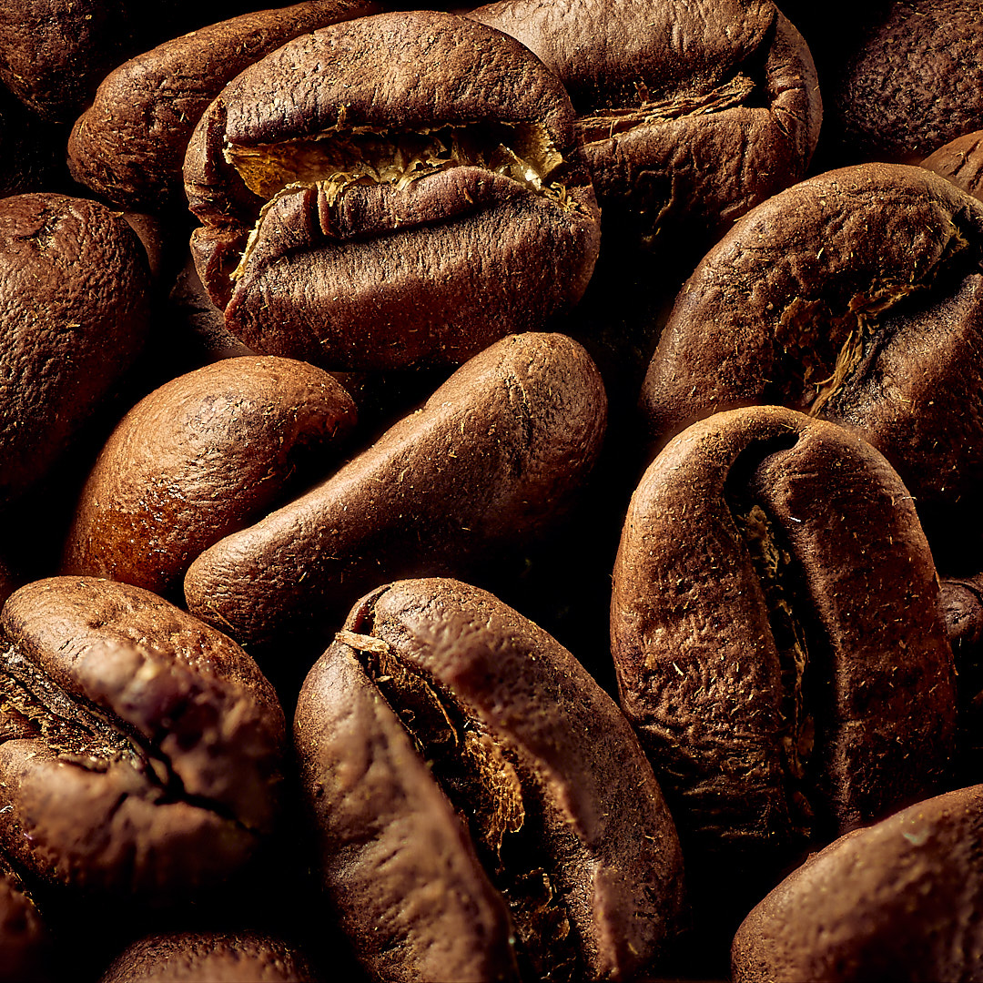 Photo 88 from Igor Maric's photography collection