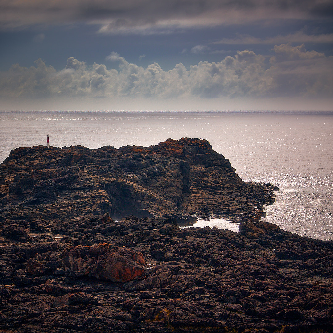 Photo 85 from Igor Maric's photography collection