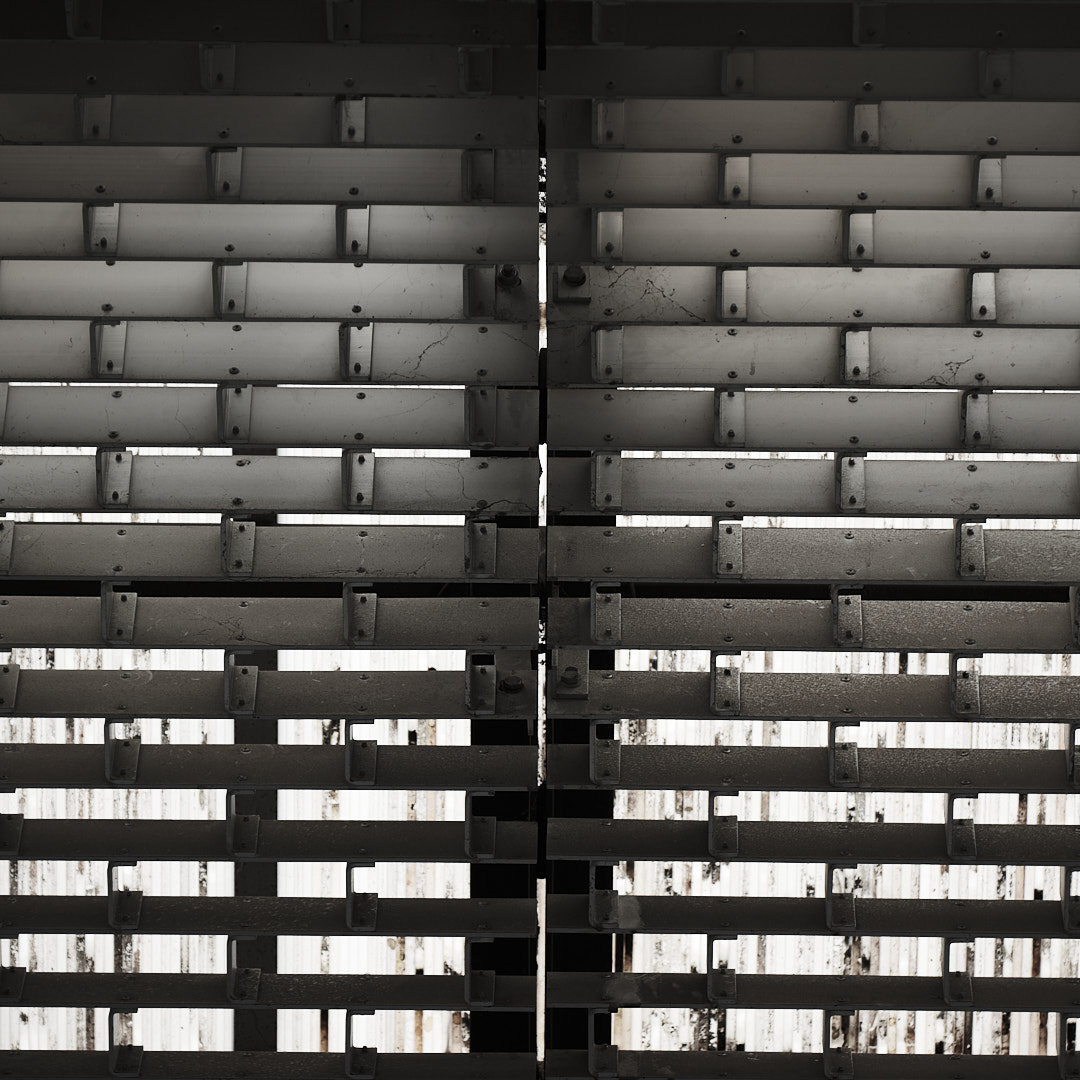 Photo 82 from Igor Maric's photography collection