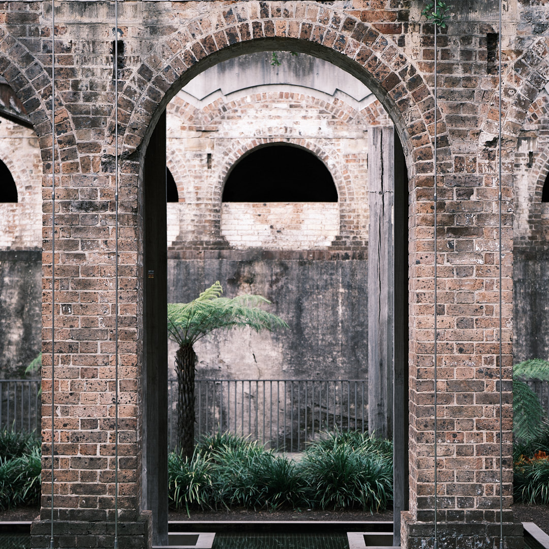 Photo 81 from Igor Maric's photography collection