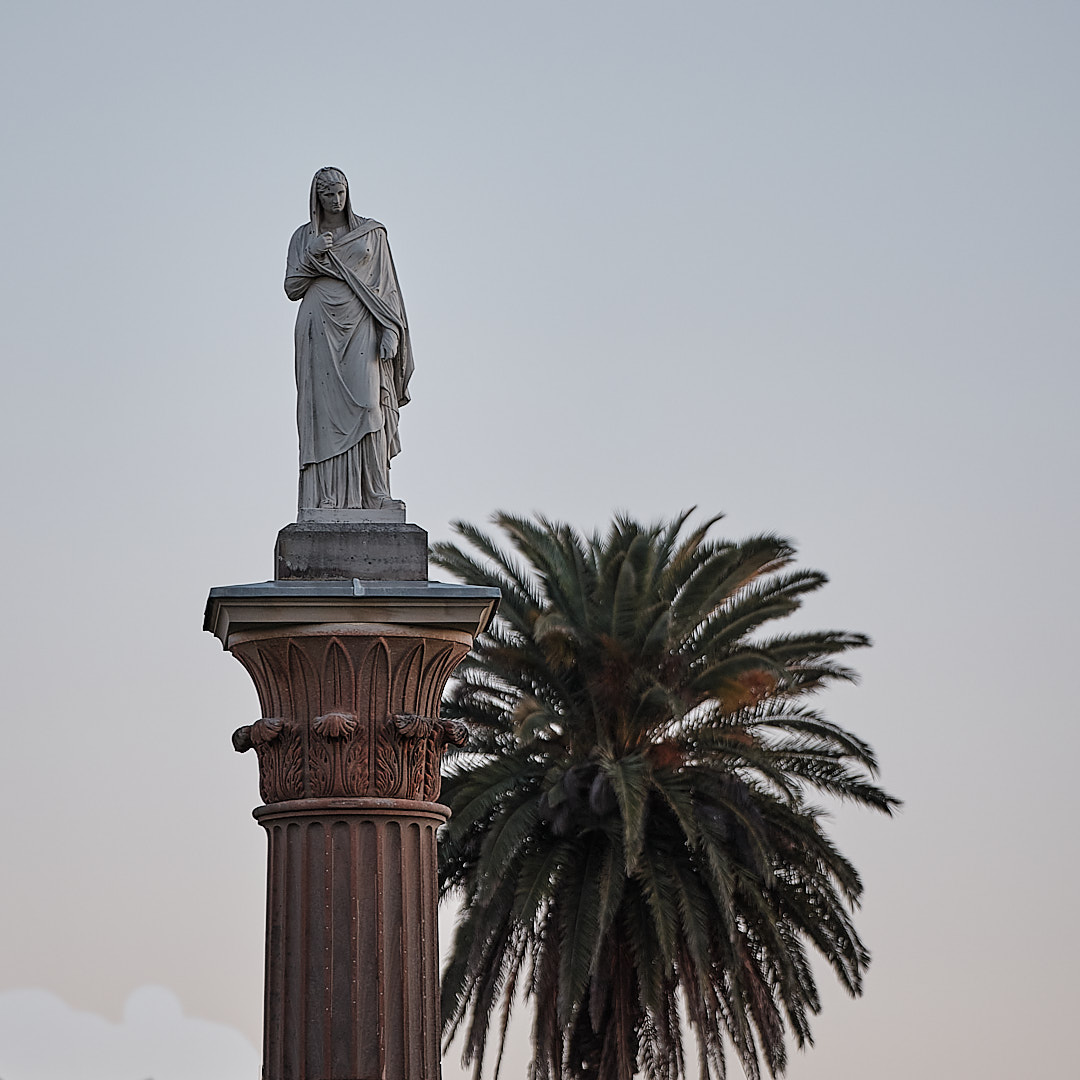 Photo 77 from Igor Maric's photography collection