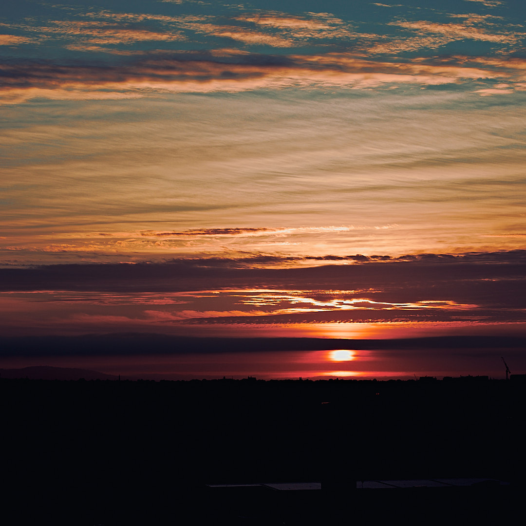 Photo 76 from Igor Maric's photography collection