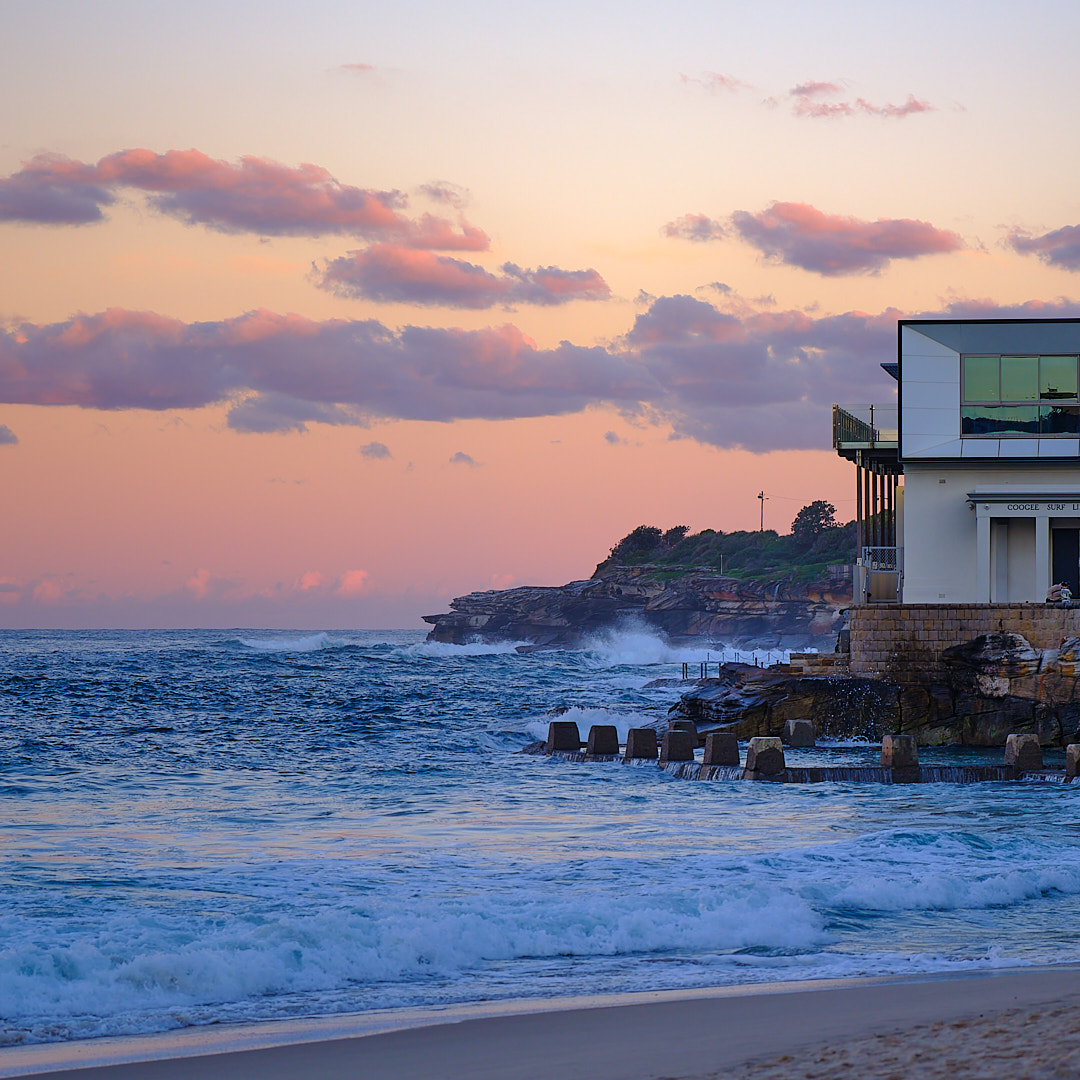 Photo 69 from Igor Maric's photography collection