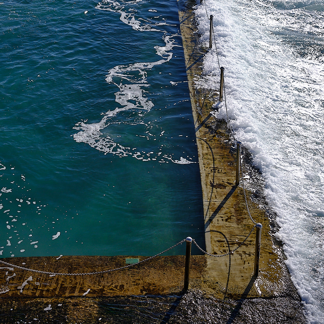 Photo 68 from Igor Maric's photography collection