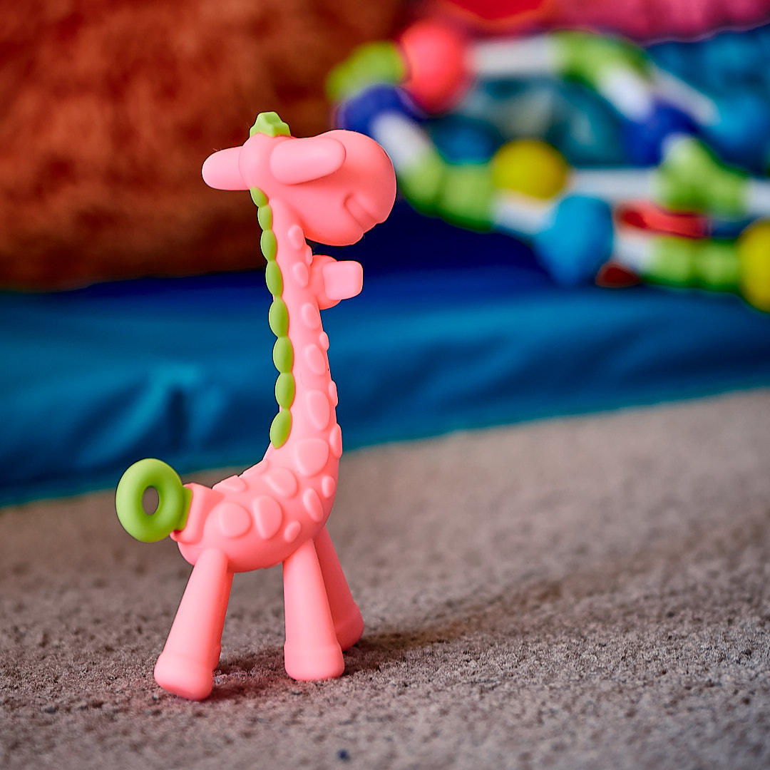 Photo 61 from Igor Maric's photography collection