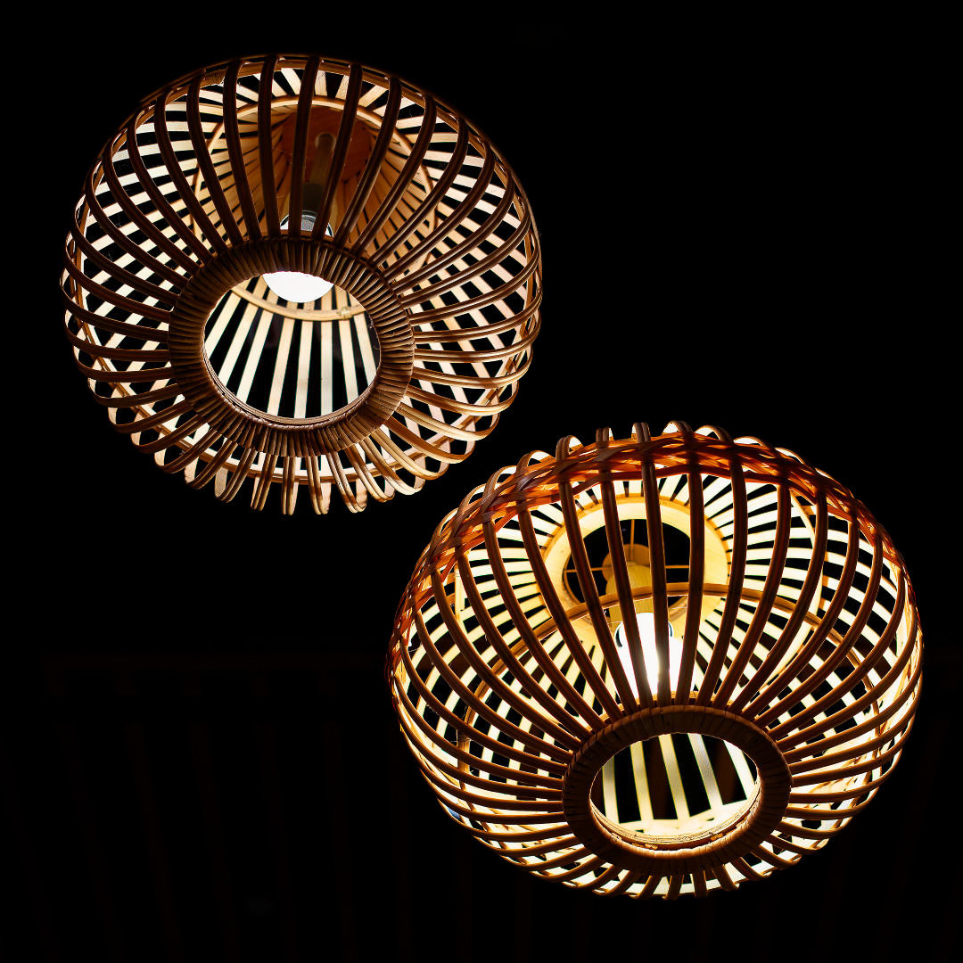 Photo 55 from Igor Maric's photography collection