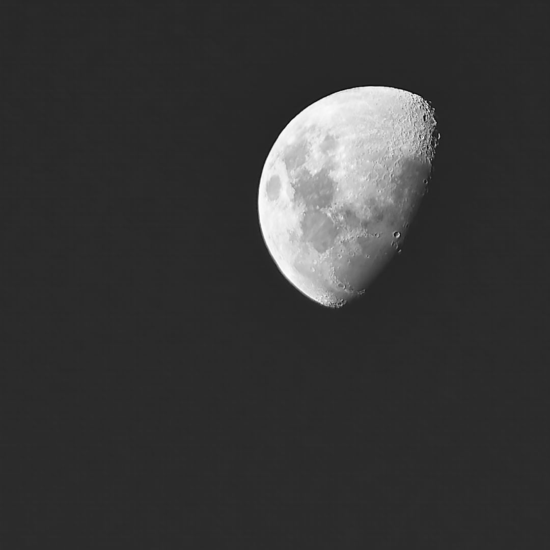 Photo 53 from Igor Maric's photography collection